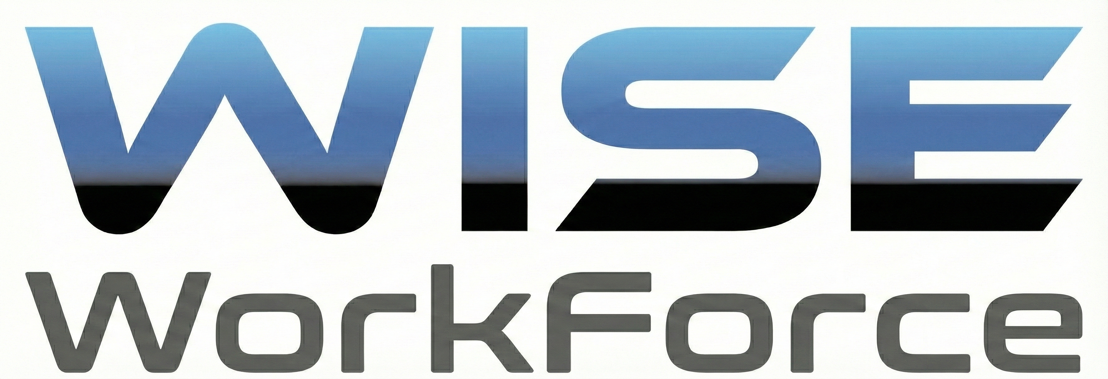 WISE Workforce